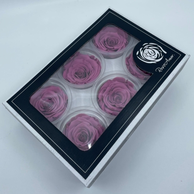 Stabilizované fialové růže v krabičce 6ks