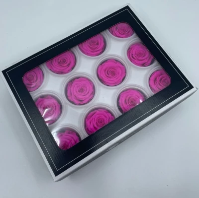 Stabilizované fuchsiové růže v krabičce 12ks