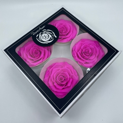 Stabilizované fuchsiové růže v krabičce 4ks
