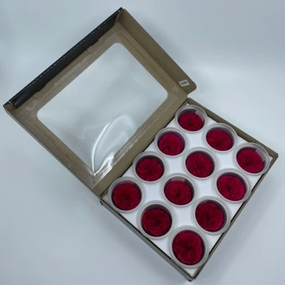 Stabilizované karmínově červené zahradní růže v krabičce 12ks