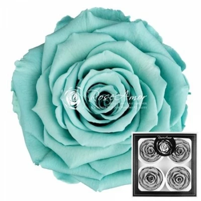 Stabilizované ledově modré růže v krabičce 4ks