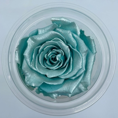 Stabilizované ledově modré růže Satin v krabičce 6ks
