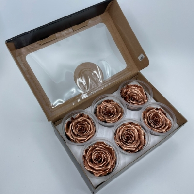 Stabilizované měděné růže XL v krabičce 6ks