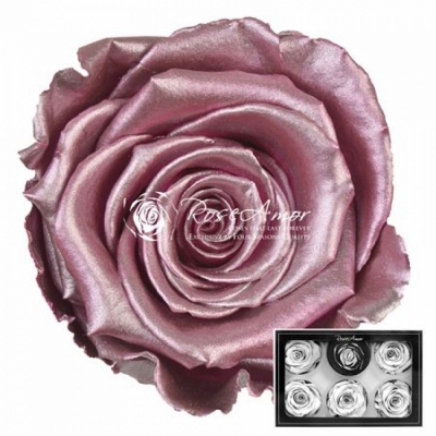 Stabilizované metalické růžové růže XL v krabičce 6ks