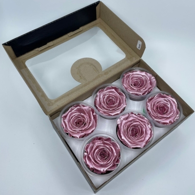 Stabilizované metalické růžové růže XL v krabičce 6ks