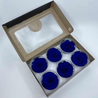 Stabilizované modré růže plus v krabičce 6ks