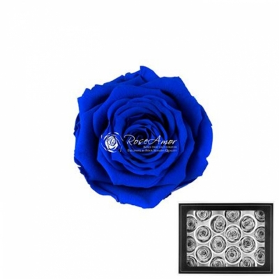 Stabilizované modré růže v krabičce 18ks
