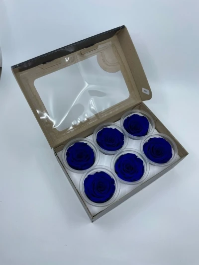 Stabilizované modré růže v krabičce 6ks