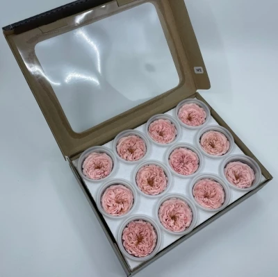 Stabilizované růžová růže v krabičce 12ks