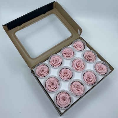 Stabilizované růžové růže v krabičce 12ks