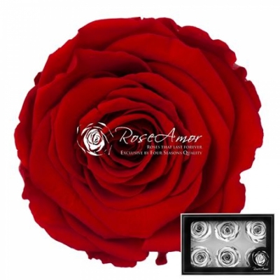 Stabilizované sametově červené růže v krabičce 6ks