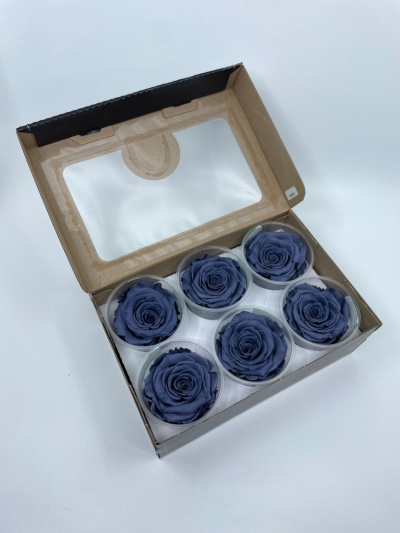 Stabilizované šedé růže plus v krabičce 6ks