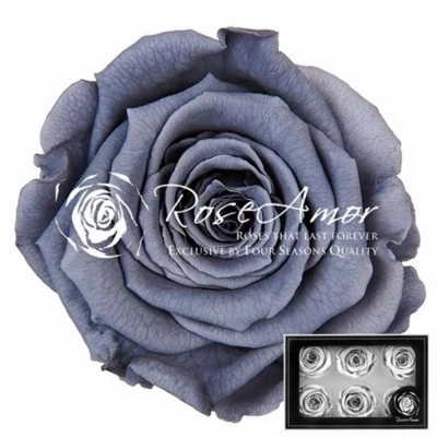 Stabilizované šedé růže v krabičce 6ks