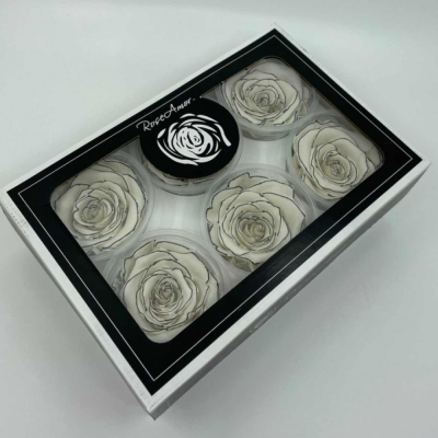 Stabilizované stracciatella růže XL v krabičce 6ks