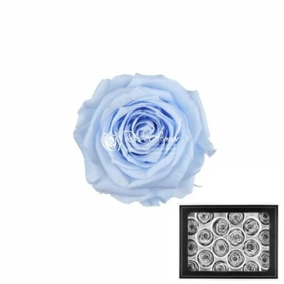 Stabilizované světle modré růže v krabičce 18ks