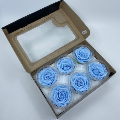 Stabilizované světle modré růže v krabičce 6ks