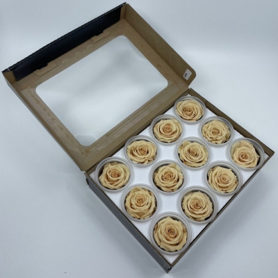 Stabilizované světle oranžové růže v krabičce 12ks