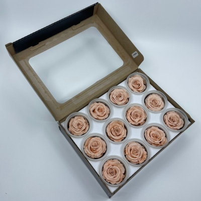 Stabilizované světle oranžové růže v krabičce 12ks