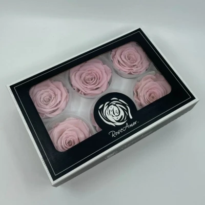 Stabilizované světle růžové růže plus v krabičce 6ks