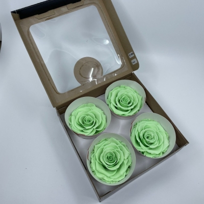 Stabilizované světle zelené růže v krabičce 4ks
