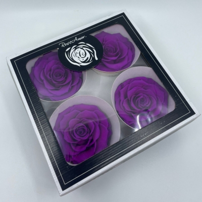 Stabilizované sytě fialové růže v krabičce 4ks