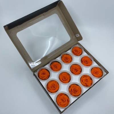 Stabilizované sytě oranžové růže v krabičce 12ks
