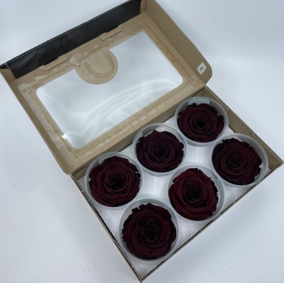 Stabilizované temně červené růže plus v krabičce 6ks