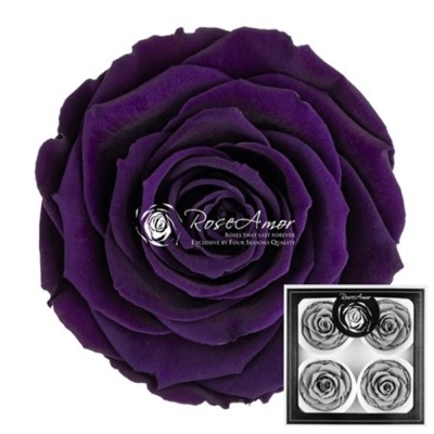 Stabilizované temně fialové růže v krabičce 4ks