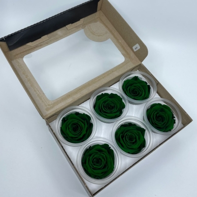 Stabilizované tmavě zelené růže v krabičce 6ks