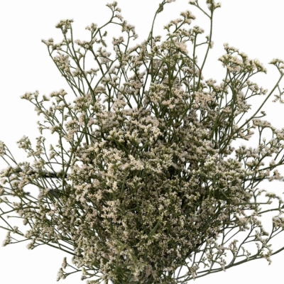 Statike WHITE NETO 80 cm / 40 g