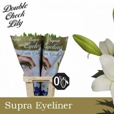 Svazek 10 lilií EYELINER