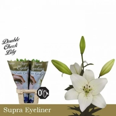 Svazek 10 lilií LA EYELINER 95cm