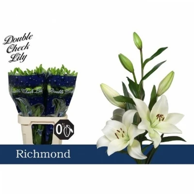 Svazek 10 lilií LA RICHMOND 95cm