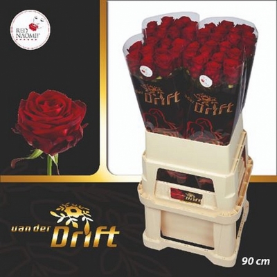 Svazek 10 luxusních růží RED NAOMI! 90cm (XL)