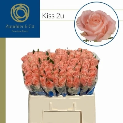 Svazek 20 růží KISS 2U 50cm (M)