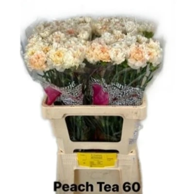 Svazek 20 jednokvětých karafiátů PEACH TEA