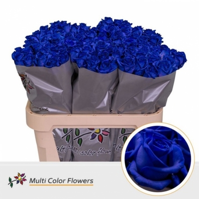 Svazek 20 růží BLUE VENDELA 60cm (M)