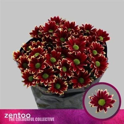 Svazek 5 mnohokvětých chryzantém HAYDAR YELLOW