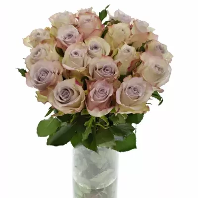 Světle fialová růže DEEP SILVER 50cm (L)