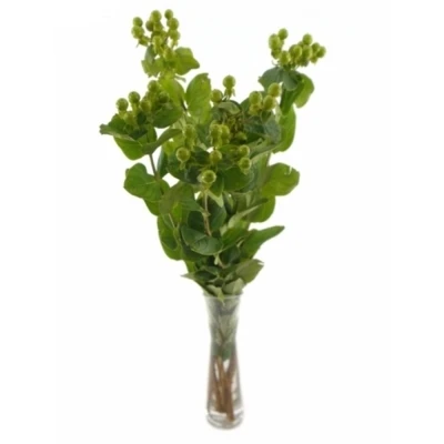 Třezalka INODORUM MAGICAL MIRAGE