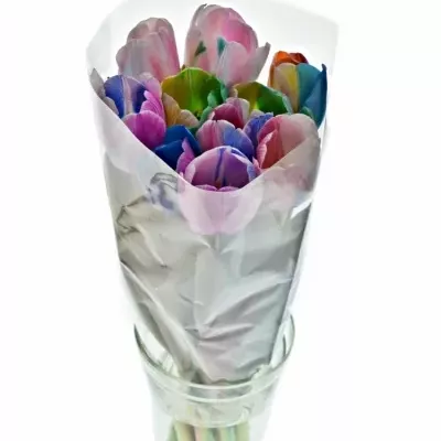 TULIPA RAINBOW DON MIX 40cm