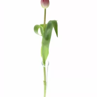 Tulipán DU UP PINK 38cm/30g