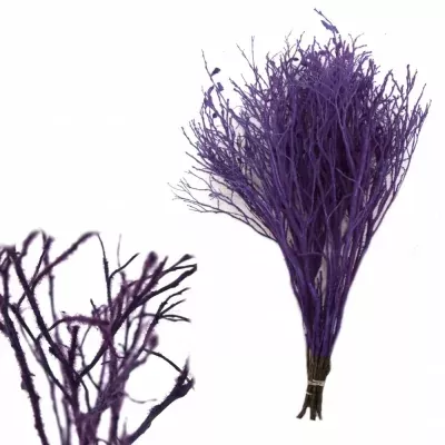 Borůvčí vločka milka