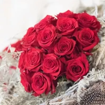 Valentýnská dlouhá růže RED EAGLE