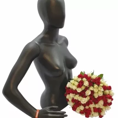 Valentýnská kytice 100 růží APHRODITE 40cm