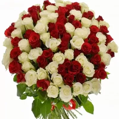 Valentýnská kytice 100 růží APHRODITE 40cm