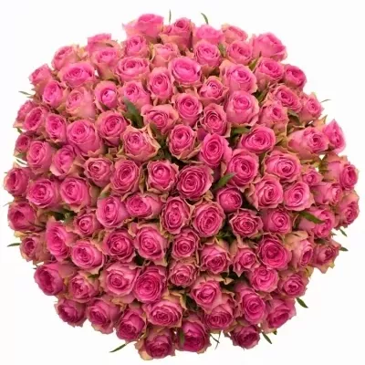 Valentýnská kytice 100 růží SHIARY 40cm
