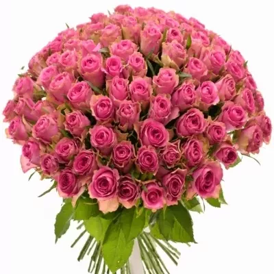 Valentýnská kytice 100 růží SHIARY 40cm