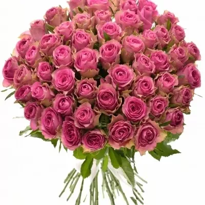 Valentýnská kytice 55 růží SHIARY 40cm