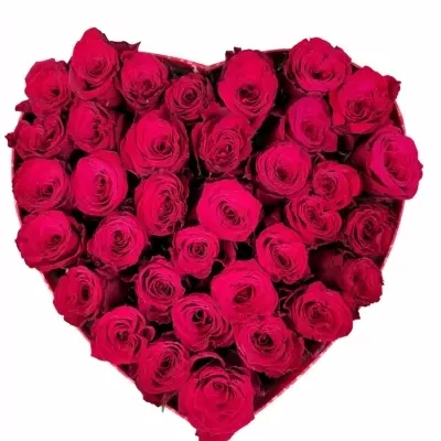Valentýnské srdce růží  CATERINE střední